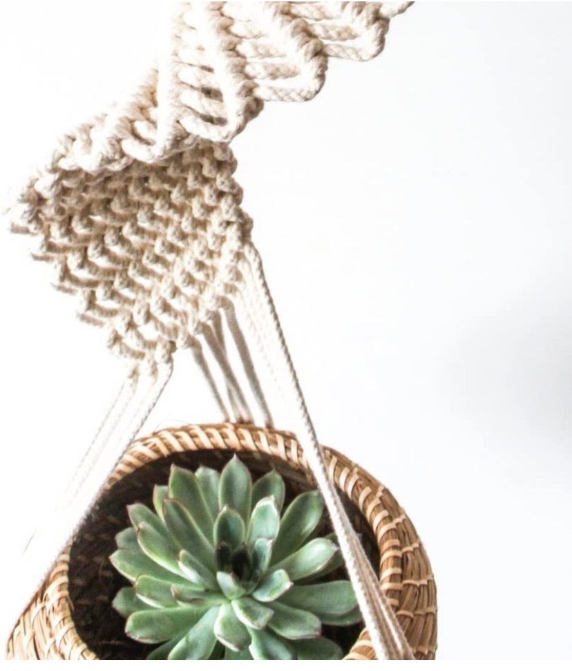 Hanging Planter