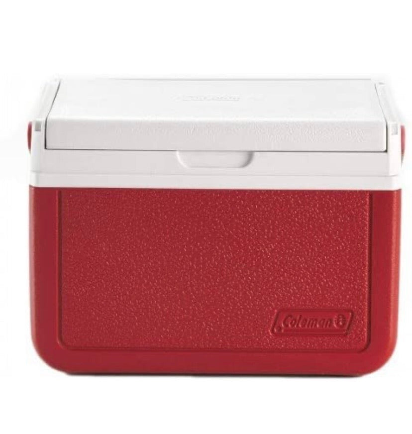 Small Insulated Cooler, 5 Quart