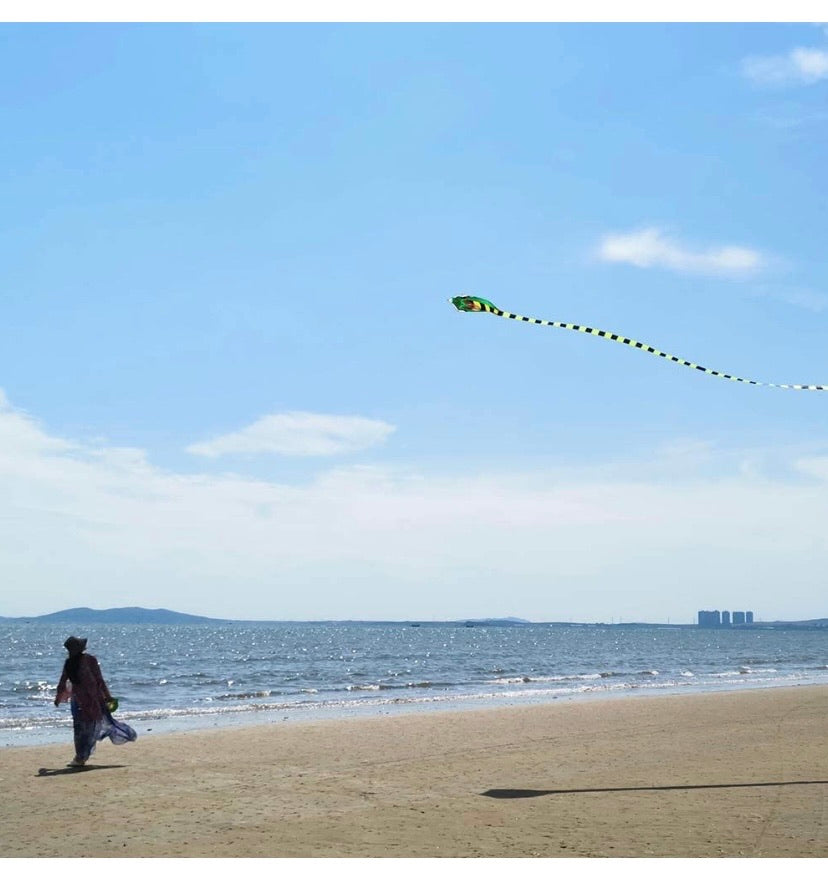 Cobra Kite for Kids Adults Large by Mint's Colorful Life