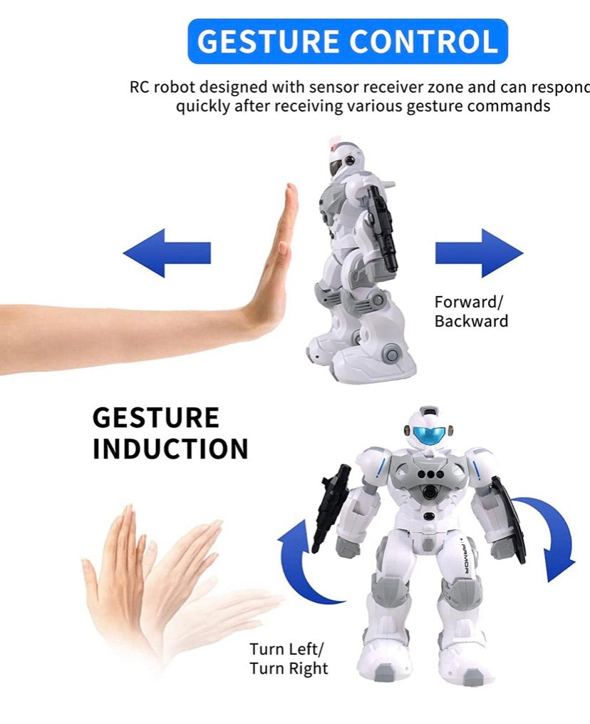 Intelligent Gesture Robot Toy