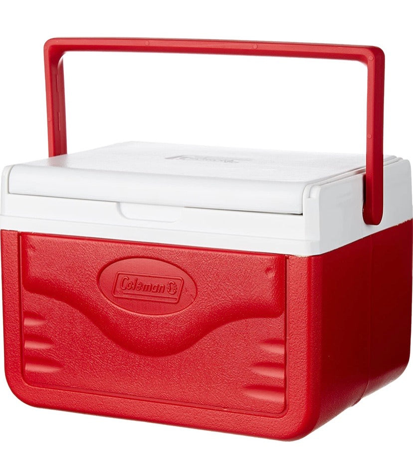 Small Insulated Cooler, 5 Quart
