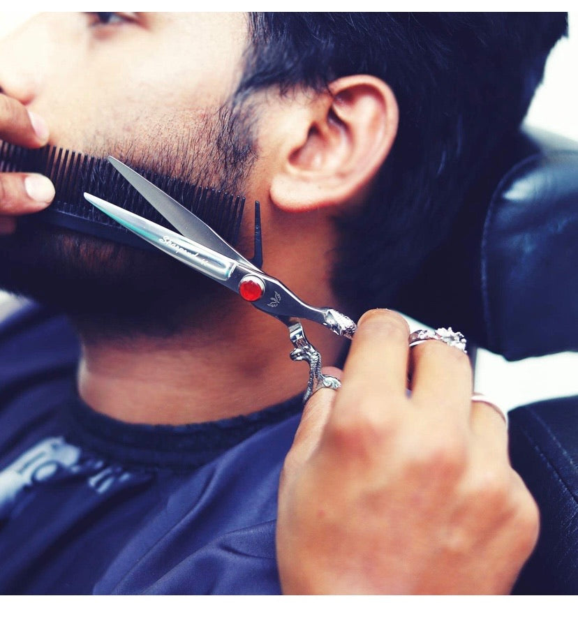 Professional Hair Cutting Shears Set