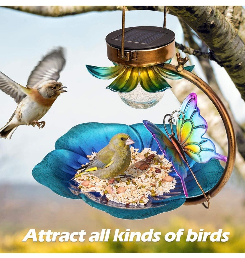 Solar Bird Feeder