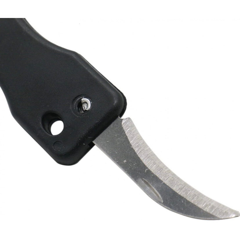 Fish Scale Shaver 3Pack