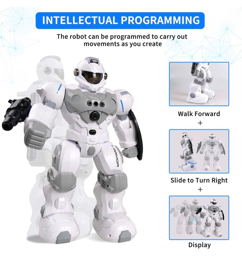 Intelligent Gesture Robot Toy