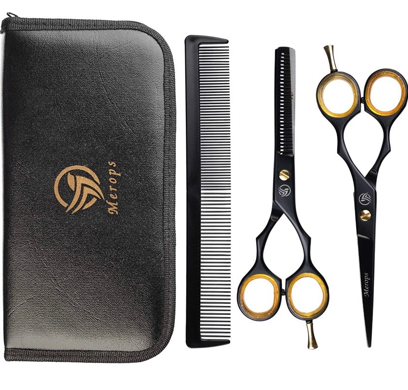 Professional Hair Scissors and Hair Thinning Scissors Set