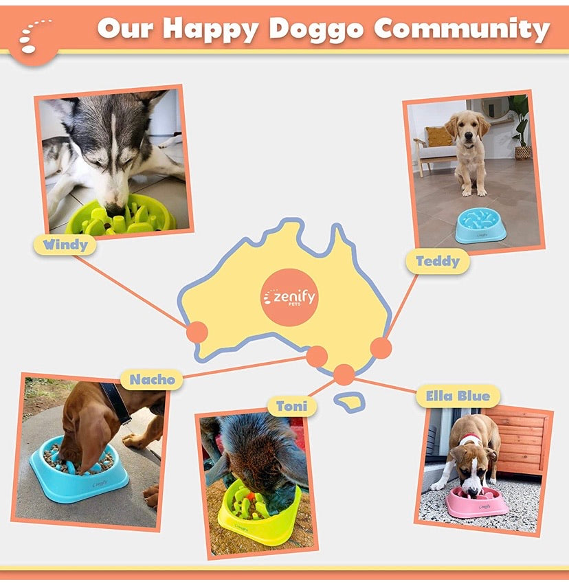 Dog Bowl Slow Feeder
