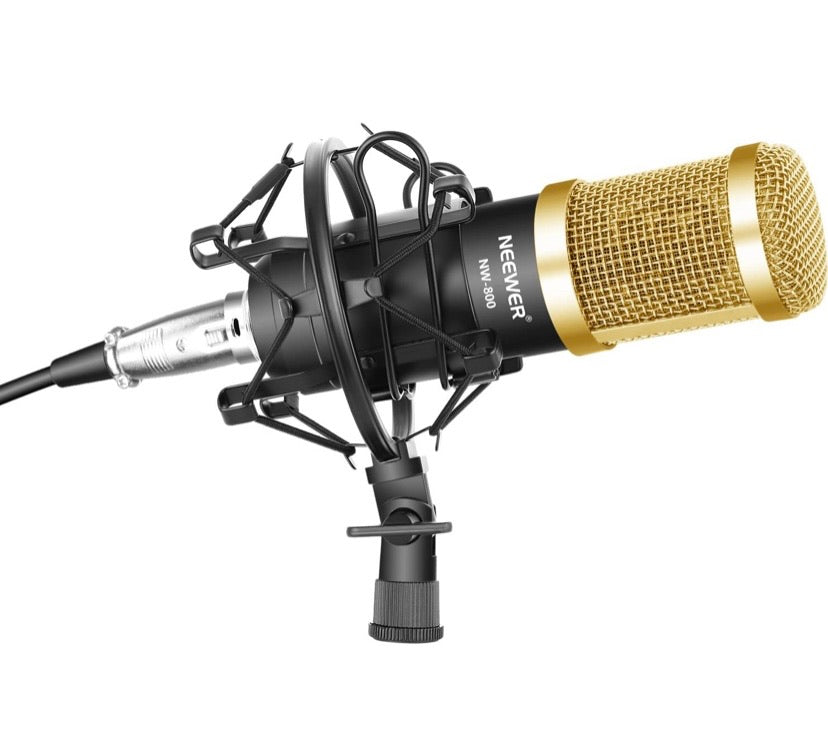 Neewer Professional Recording Microphone