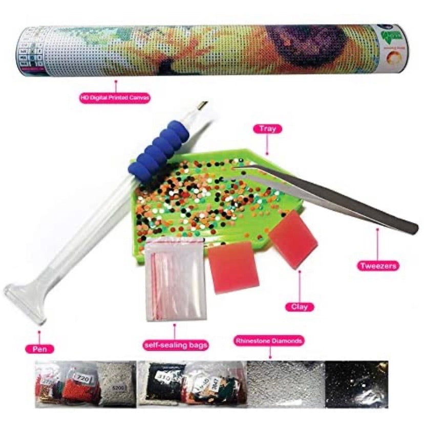 Diamond Painting Kits for Adutls and Kids