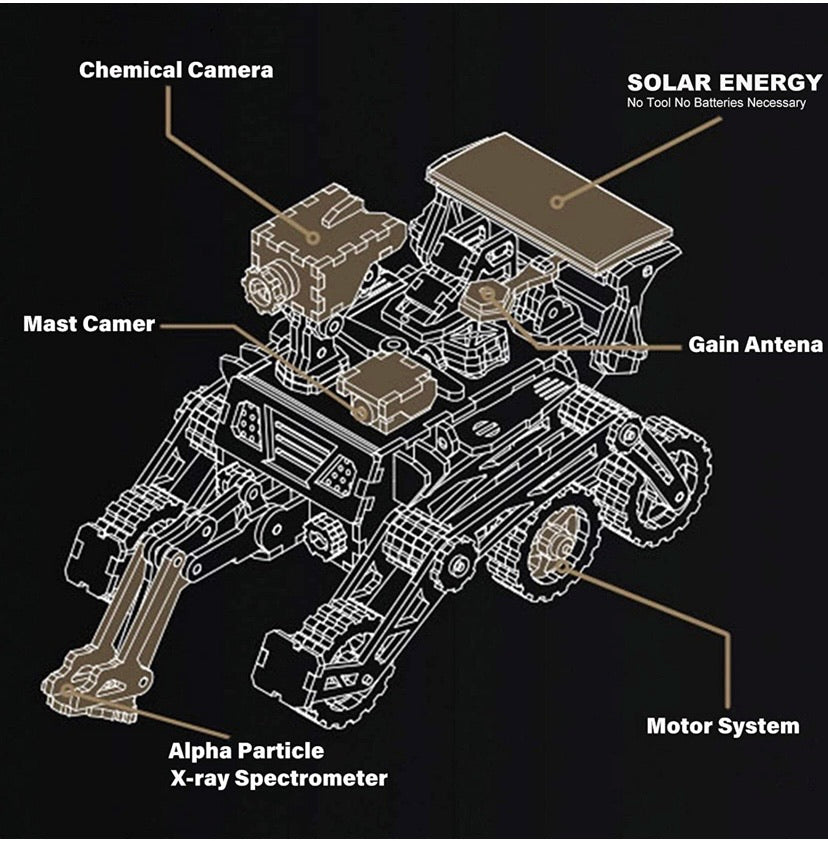 Wooden 3D Puzzle Assembly Toy