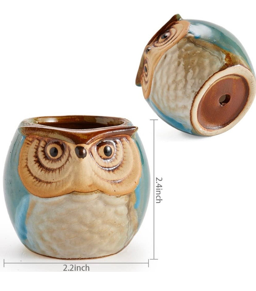 6 in Set 2.5 inch Owl Pot Ceramic Flowing Glaze Base Serial Set Succulent Plant Pot Cactus Plant Pot Flower Pot Container Planter Bonsai Pots with A Hole Perfect Gife Idea