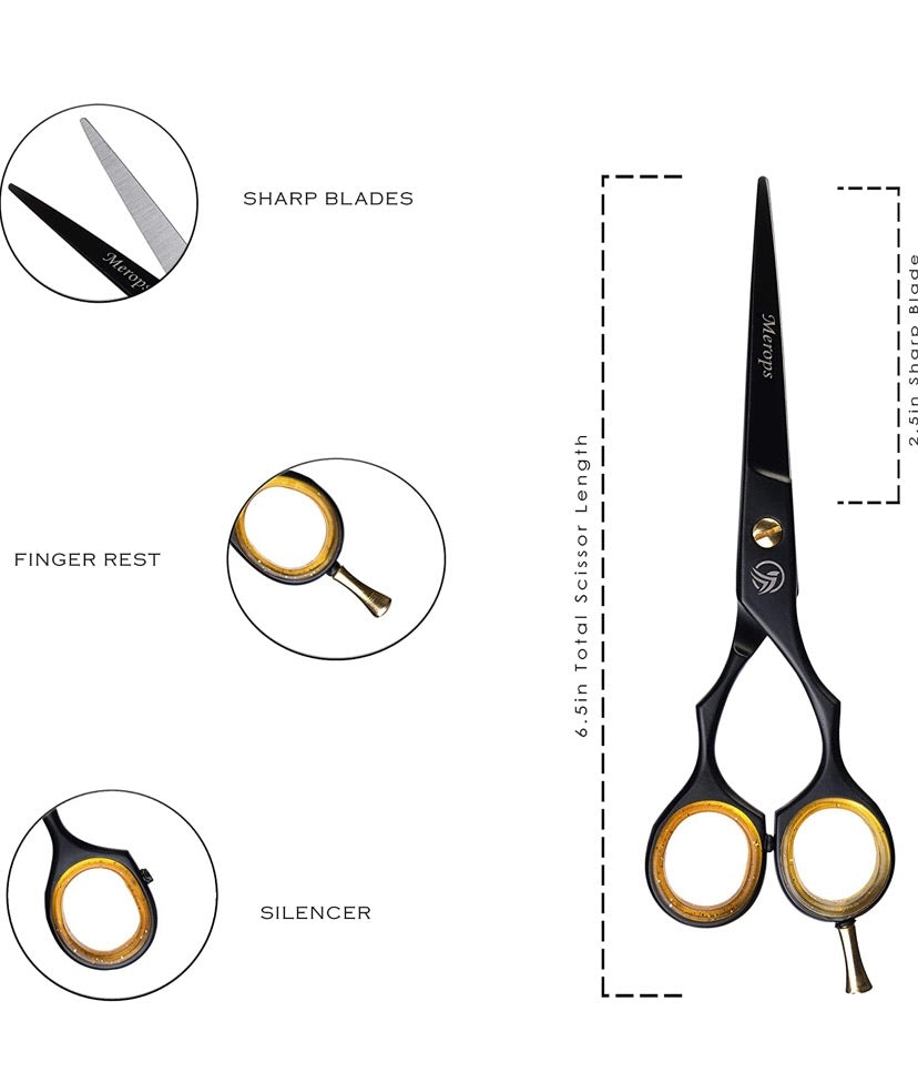 Professional Hair Scissors and Hair Thinning Scissors Set