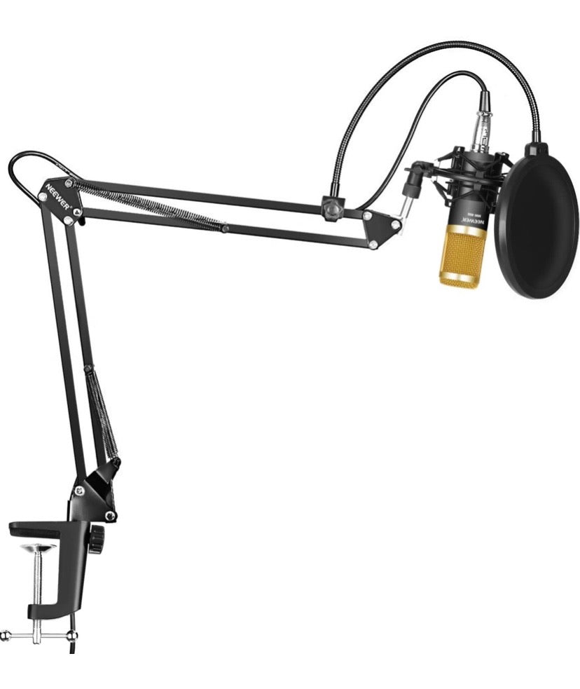 Neewer Professional Recording Microphone