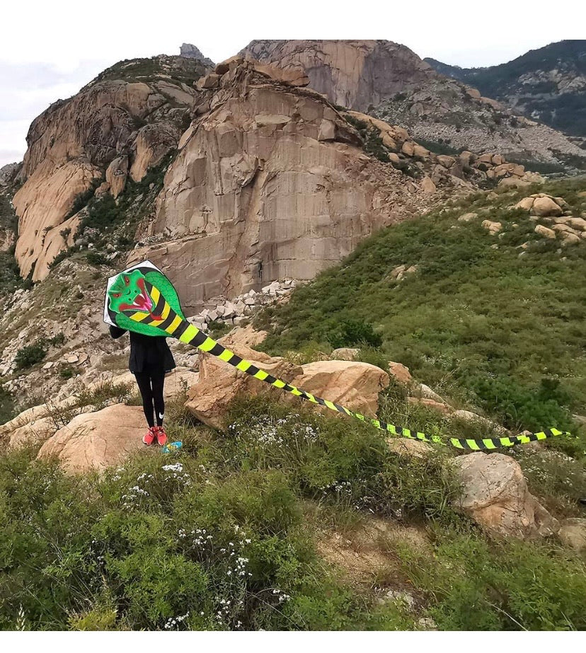 Cobra Kite for Kids Adults Large by Mint's Colorful Life