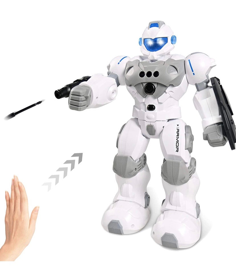 Intelligent Gesture Robot Toy