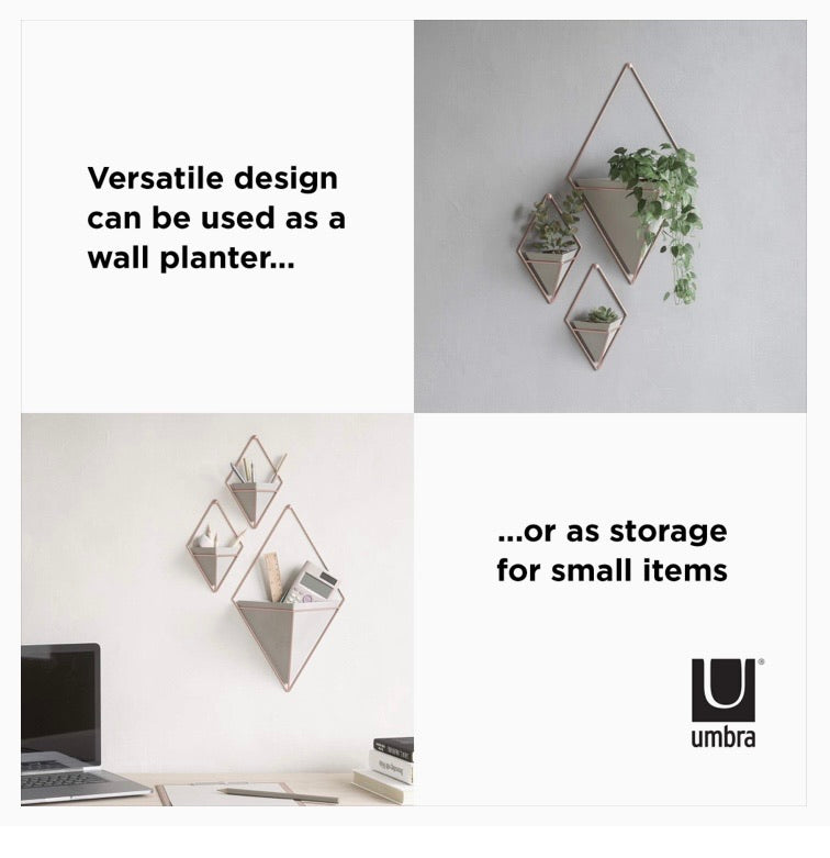 Trigg Hanging Planter