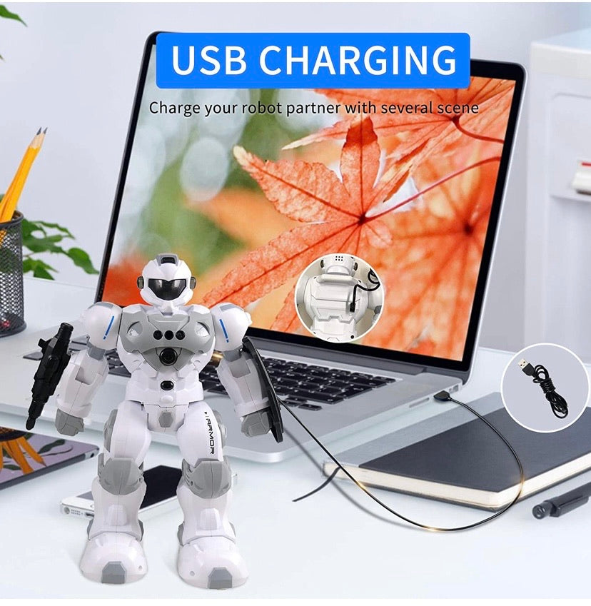 Intelligent Gesture Robot Toy