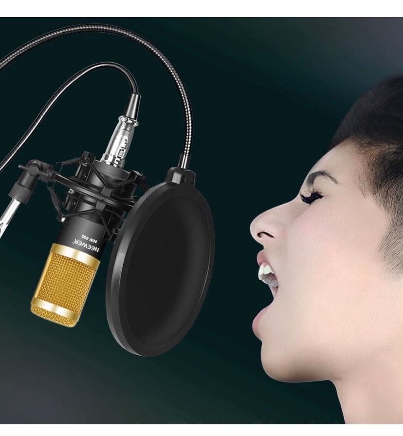 Neewer Professional Recording Microphone