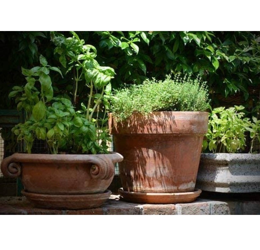 3 Piece Garden Tool Set