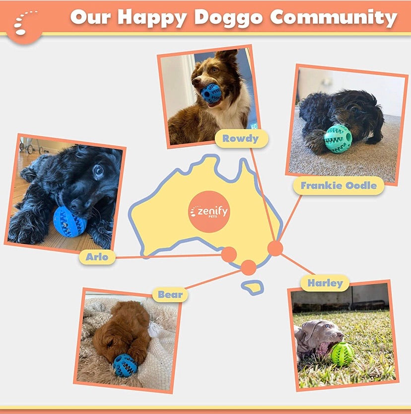 Dog Food Treat Interactive Puzzle Ball