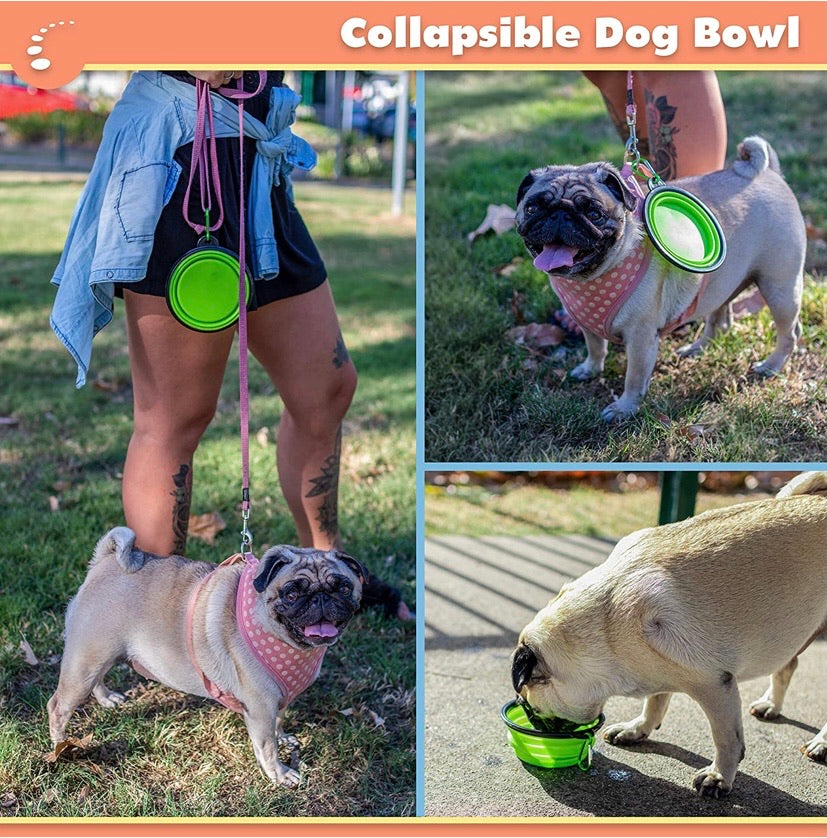 Puppy Dog Toys Gift Box - Pet Interactive Dog Rope Toy Starter Set - Tug Cotton Fetch Ball Rubber Training Puppies Play Grooming Glove Portable Travel Bowl