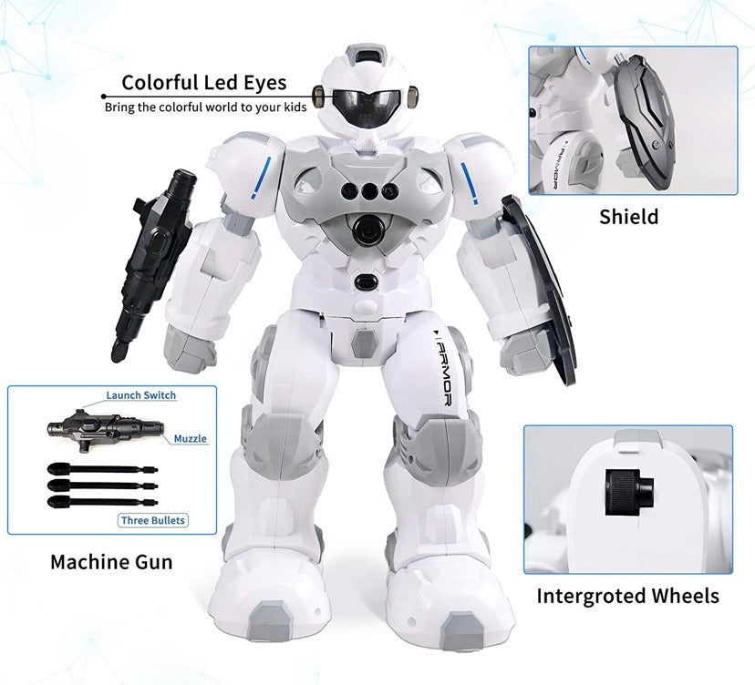 Intelligent Gesture Robot Toy