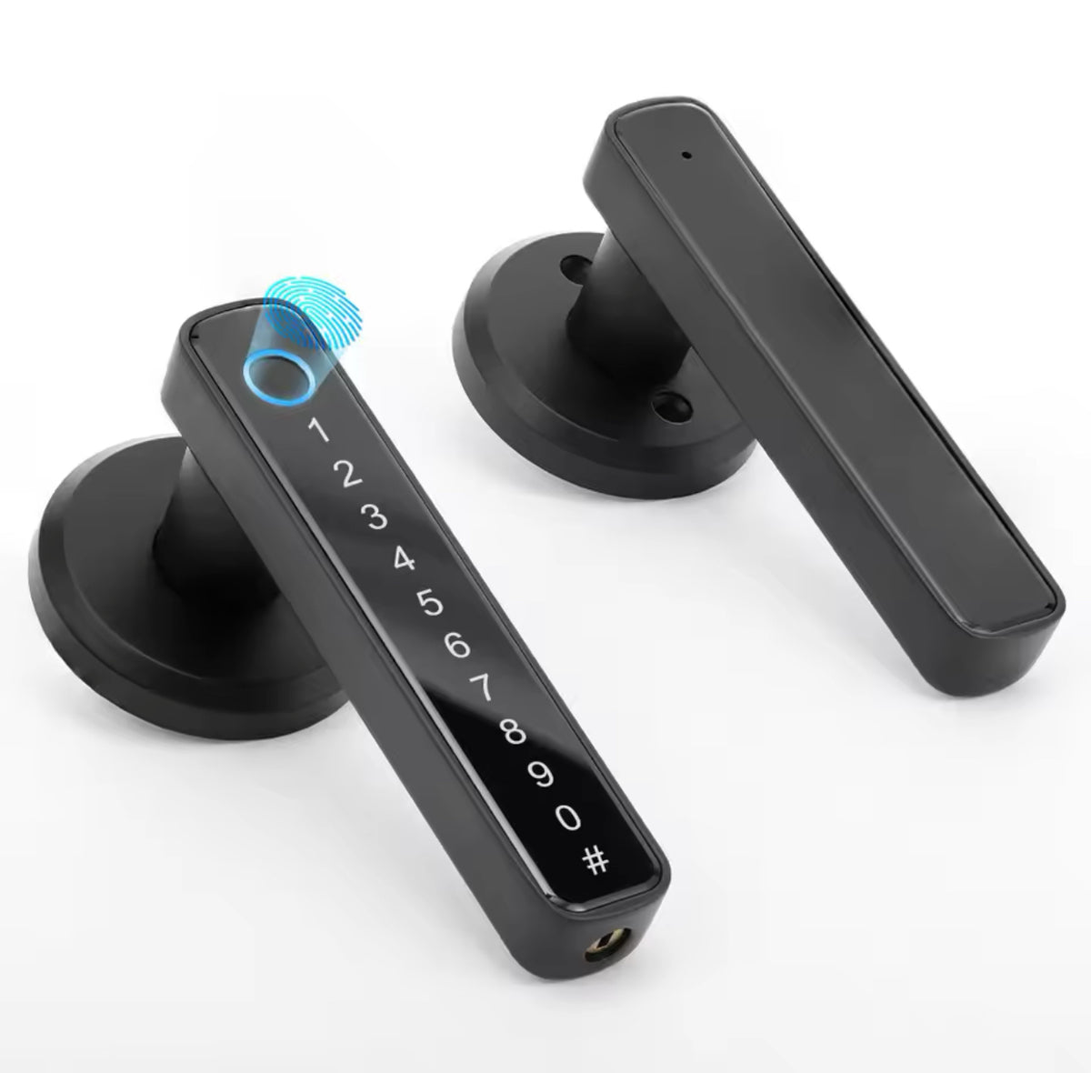 Fingerprint Door Lock/Smart Door knob/Biometric Door Lock with passcode keypad /APP Remote Control/Entry Door Handle