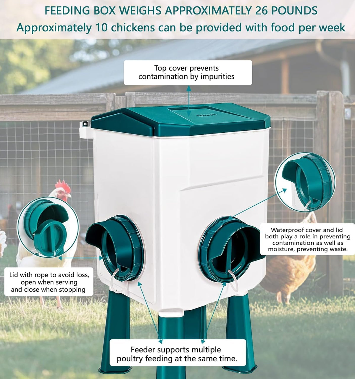 Automatic Chicken Feeder & Waterer Set – 8 kg Feed / 7 L Water
