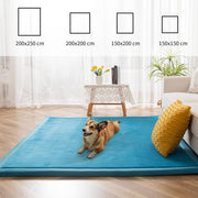 Coral Velvet Area Rug, 3cm Thick Non-Slip Fluffy Short Pile Crawling Rug, Modern Washable Soft Rug for Boys or Girls Children's Room, Living Room (Bluestone, 150×200cm)