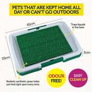 3-Layer Indoor Puppy Toilet Tray with Drainage Mat – 45 × 33 cm
