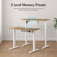 Electric Standing Desk, Height Adjustable Ergonomic Sit Stand Desks with Hanging Hooks and Cable Management, 100 x 55 cm Whole Piece Desktop, for Small Space, Black Frame