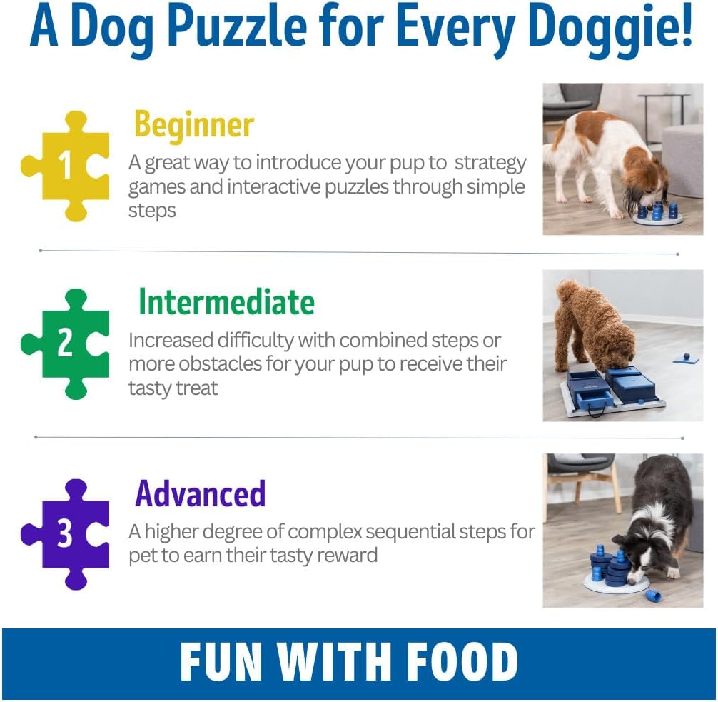 Dog Turn-Around Strategy Activity Game – 22 × 33 × 18 cm