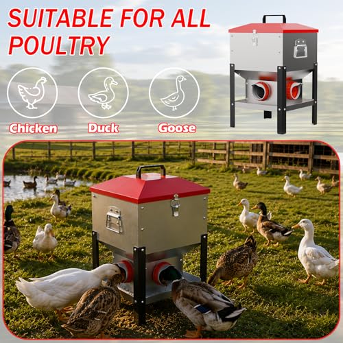 35LB Large Automatic Metal Chicken Feeder with 4 Ports