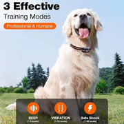 AvviKro Remote Dog Training Collar – 3300ft, 1 or 2 Dogs