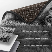 Area Rug Super Soft Indoor Modern Shag Shaggy Silky Smooth Rugs Fur Fluffy Anti-Skid Carpet Living Room Dining Room Bedroom Floor Mat