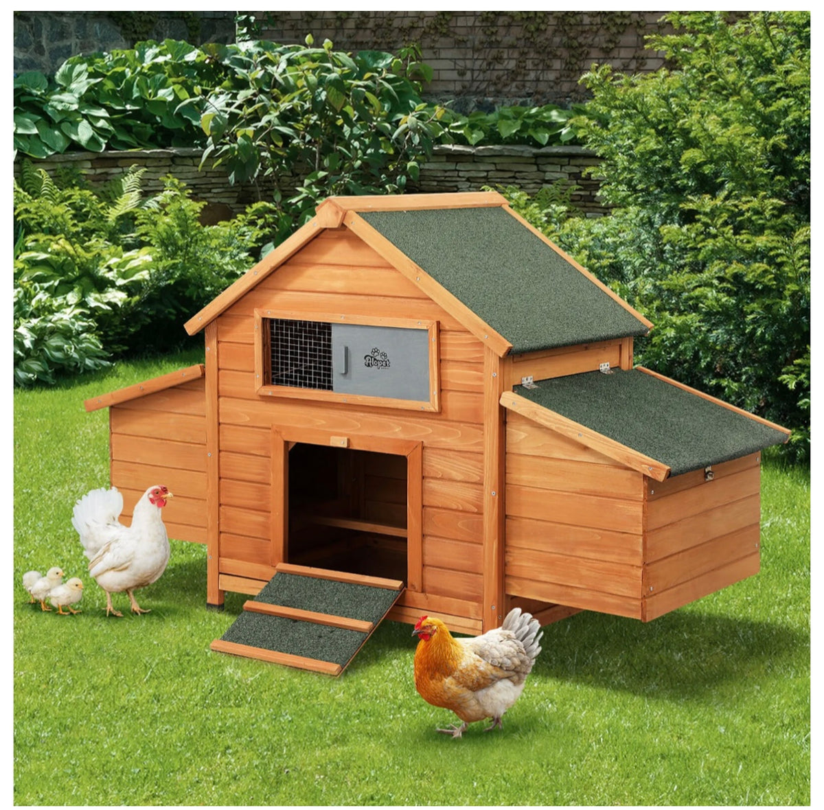 Large Wooden Chicken Coop & Rabbit Hutch with Run