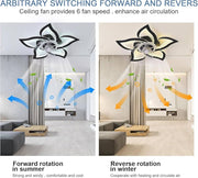 62.5 cm Low-Profile Ceiling Fan Light with Remote & App