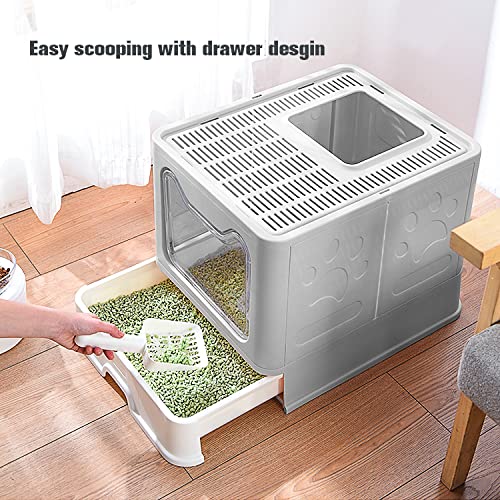 Extra-Large Enclosed Cat Litter Box with Drawer & Scoop