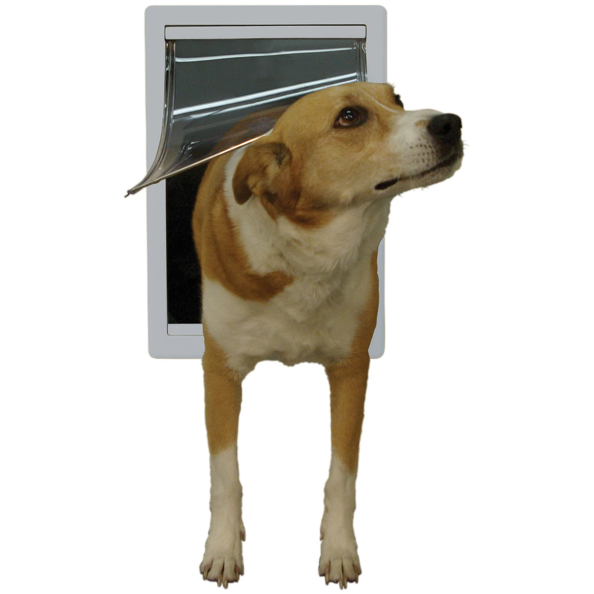 Ideal Pet Medium Plastic Pet Door – 7 × 11.25-Inch Flap