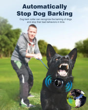 2-in-1 Dog Bark & Training Collar – 1000 m Remote & IP67