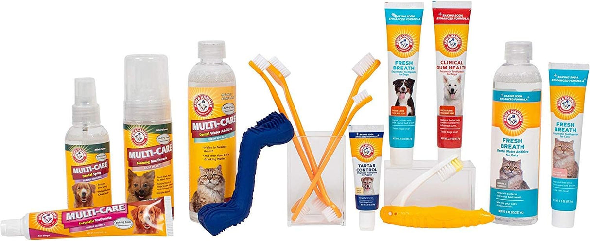 Arm & Hammer Beef Flavor Tartar Control Dental Kit for Dogs