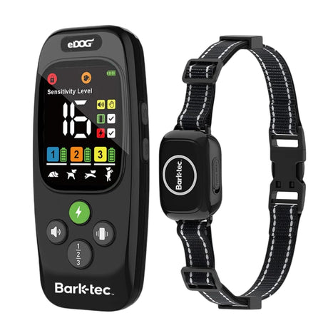 2-in-1 Dog Bark & Training Collar with remote