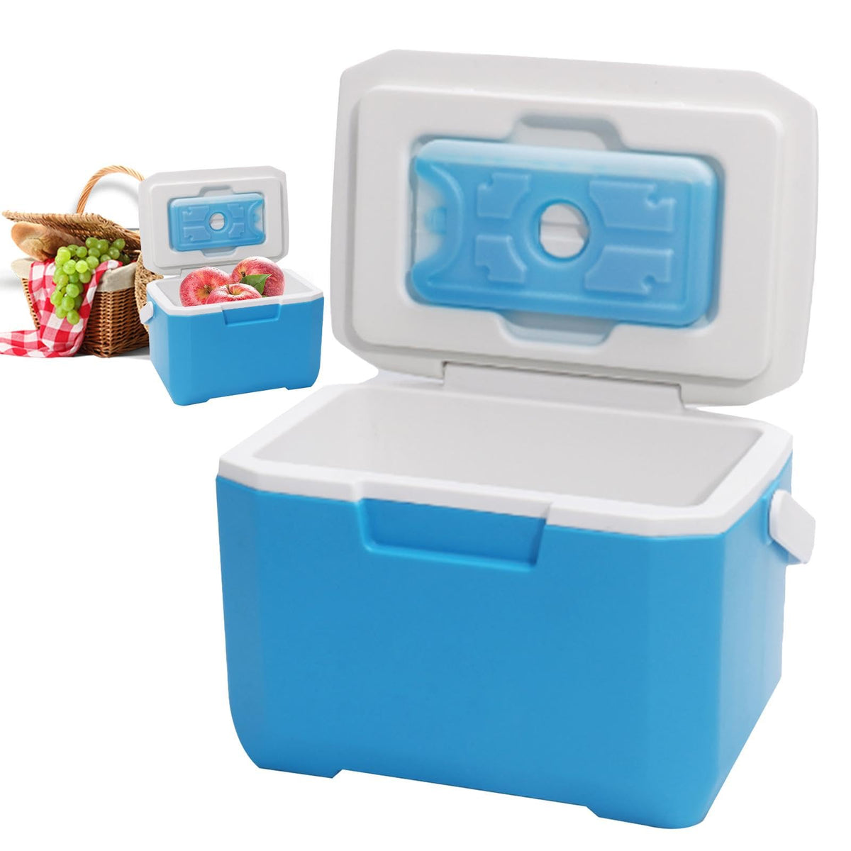 6 L Portable Cooler Box with Carry Handle