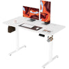 120*60cm / White Frame + White Desktop