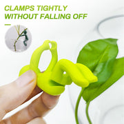 6-Piece Plant Propagation Stem Support Buddies
