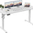 BilySen Electric Standing Desk 140x60cm (55.1"x23.6"), Height Adjustable Sit Stand Desk with Hooks, Metal Frame Stand up Desk with Powerful Motor, Ergonomic Computer Desk for Home Office (White)