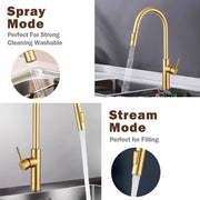 Brushed Gold 2-Mode Pull-Out Kitchen Mixer Tap