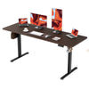 170*60cm / Black Frame+ Black Walnut Desktop