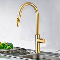 Brushed Gold 2-Mode Pull-Out Kitchen Mixer Tap