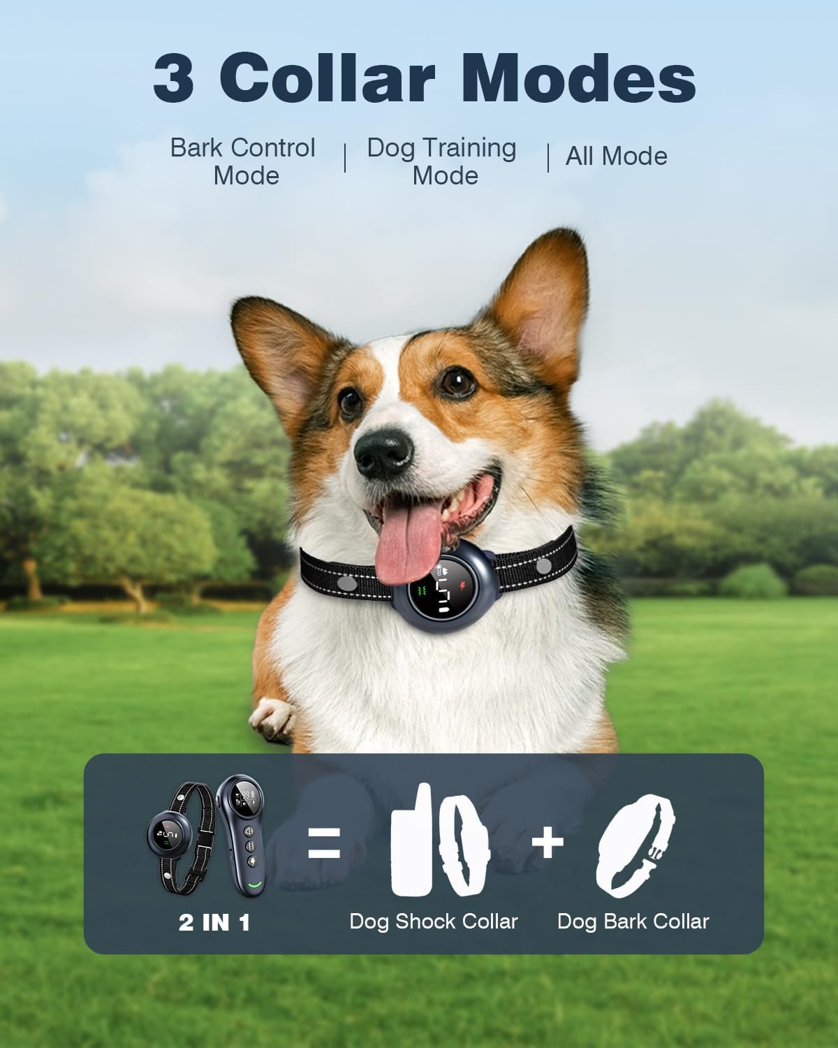 2-in-1 Dog Bark & Training Collar – 1000 m Remote & IP67